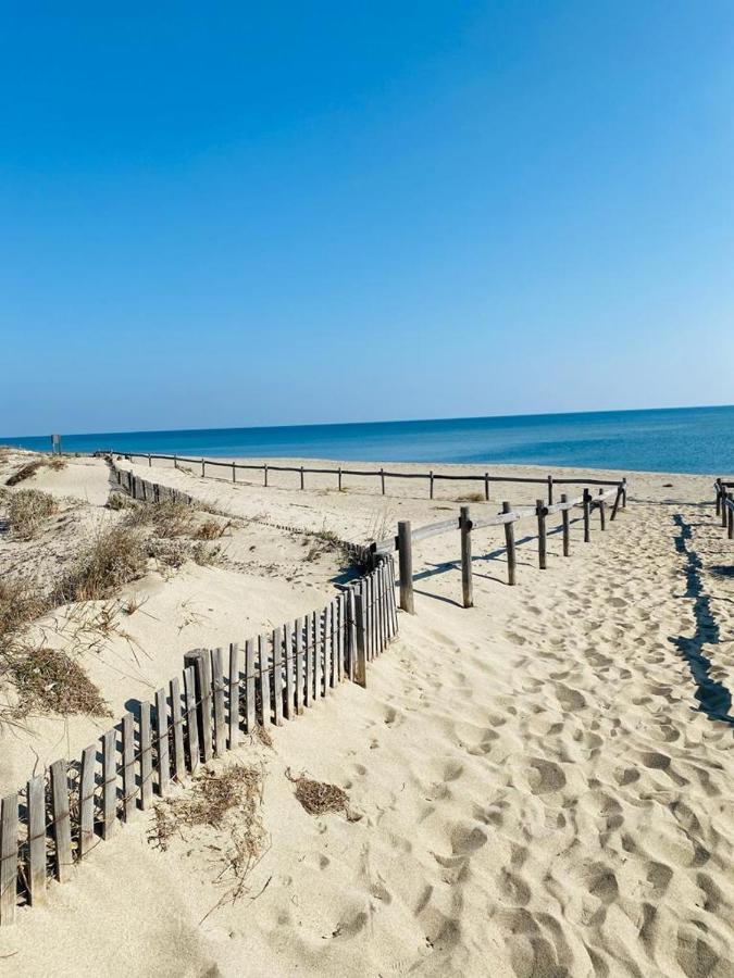 Paradis Bleu Vue Mer, Direct Plage Le Barcarès Zewnętrze zdjęcie
