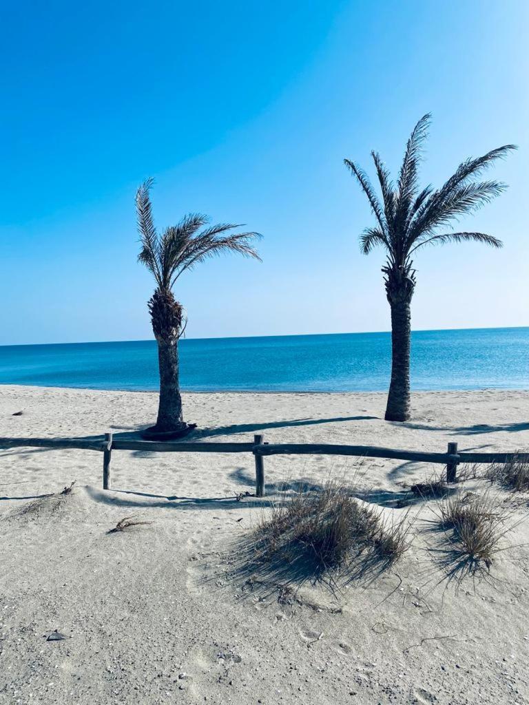 Paradis Bleu Vue Mer, Direct Plage Le Barcarès Zewnętrze zdjęcie